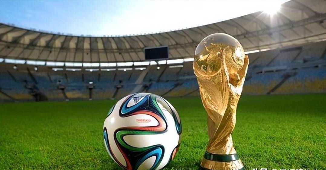 中国网球名将郑钦文宣布退出2026年澳网